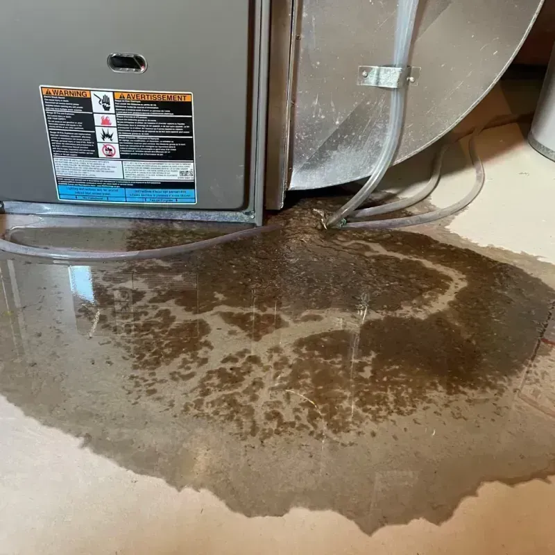 Appliance Leak Cleanup in Corning, CA